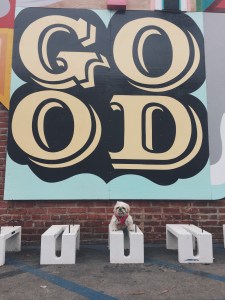 Processed with VSCO with c4 preset