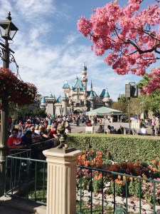 Processed with VSCO with a6 preset